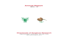 Information Brochure