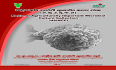 Information Brochure