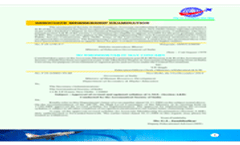 Information Brochure