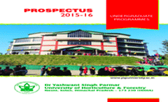Brochure-UG Courses