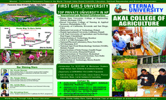 Prospectus