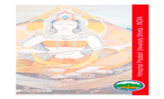 Information Brochure