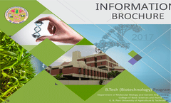 Information Brochure