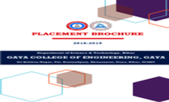 placement Brochure