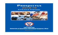 Prospectus
