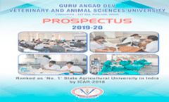 Prospectus
