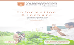 Information Brochure