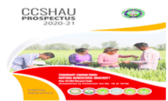 Prospectus