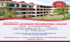 MLSM Prospectus