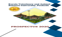 prospectus 2020