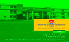 Prospectus (BDS)