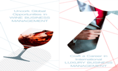IDRAC Wine & Luxury Brochure 2024