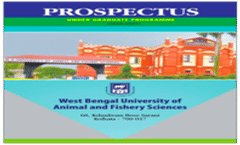 Prospectus