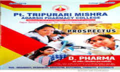 Information Brochure
