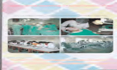 Information Brochure 2023