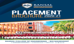 Placement Brochure