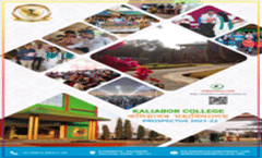 E-Brochure