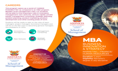 BUSINESS  INNOVATION  & STRATEGY