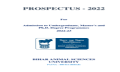 Brochure 2022