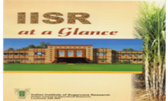 IISR At a Glance