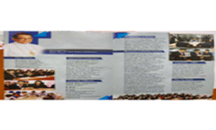 Brochure 2023
