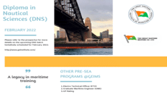 DNS prospectus
