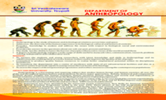 Anthropology Brochure 2023