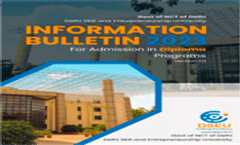 Information Bulletin Diploma Programs 2023