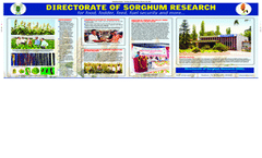 Information Brochure 2023