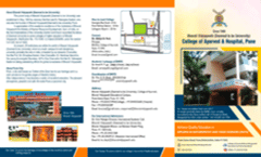 DNYS Brochure 2023