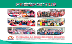 Prospectus  2024