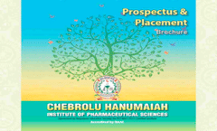 Placement Brochure 2023