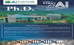 Universal Ai University Ph.D Brochure 2024