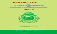 UG Prospectus 2024