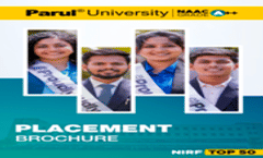 Placement Brochure 2024