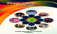 University Prospectus 2024-25