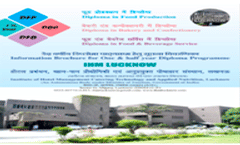 Diploma Brochure