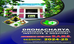 Brochure 2024
