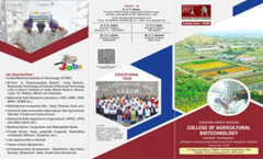 Brochure 2024