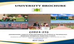 DCRUST Brochure 2024