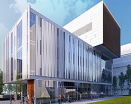 York University