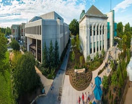 American University