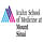 Icahn School of Medicine at Mount Sinai
