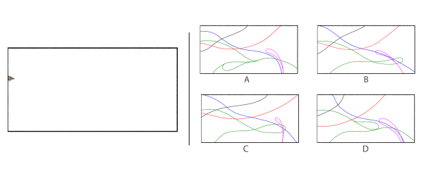 [Animation loop and path options]