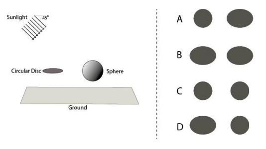 A circular disc and a sphere