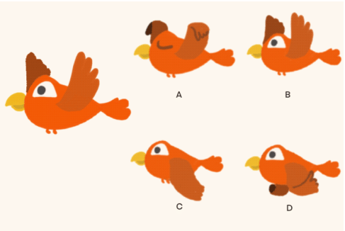 which frame