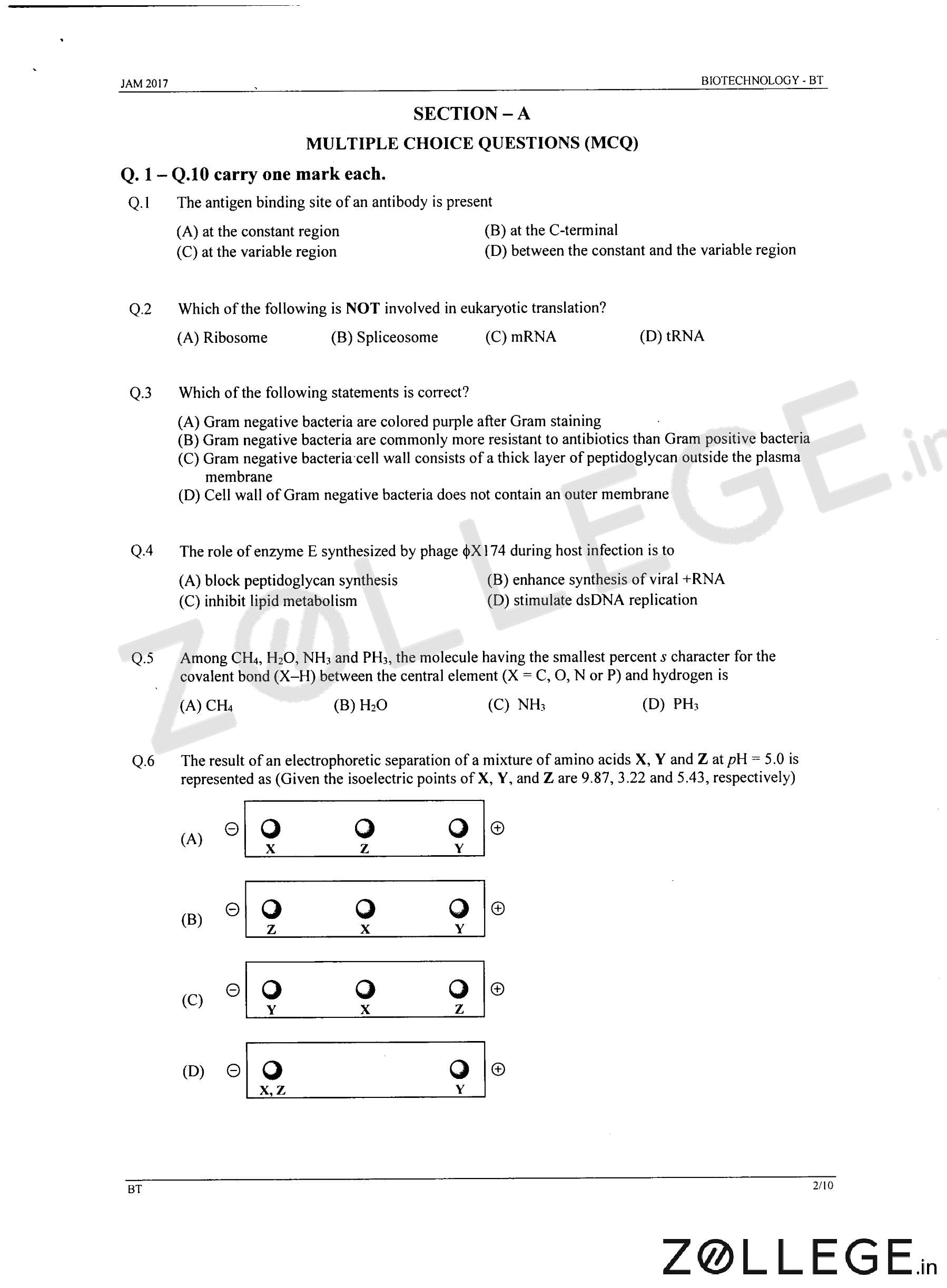 IIT JAM 2017 Question Paper with Answer Key PDF for Biotechnology