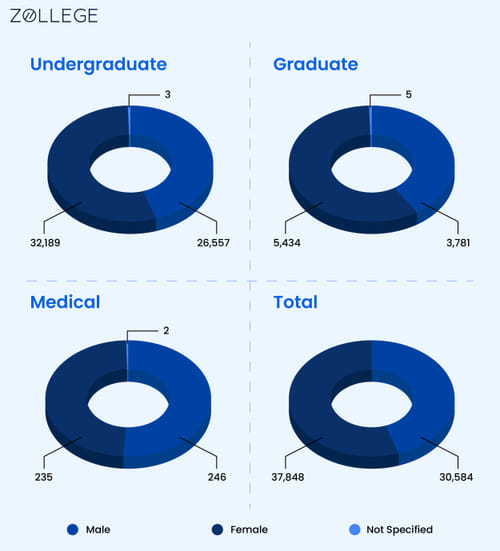 infograph