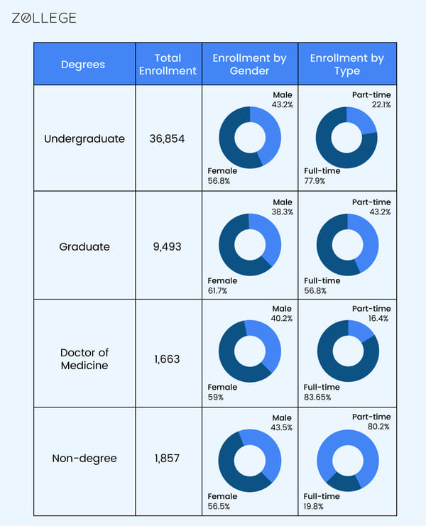 University of South Florida Tampa infographs-01