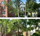 15 Ware Street